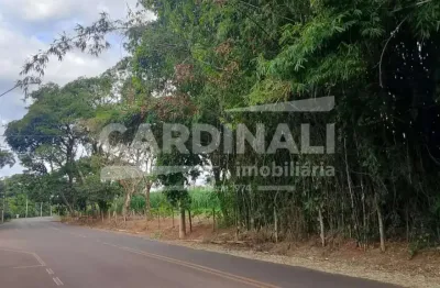 Terreno à venda na Rua Pedro Sanches Alcarás, Condomínio Satélite, Araraquara