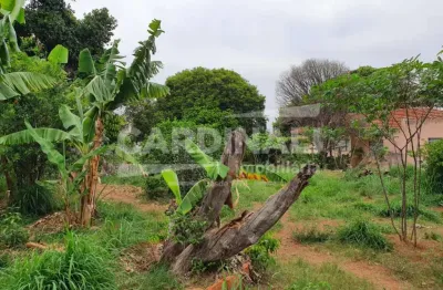 Terreno com ótima localização, próximo à escolas e comércio.