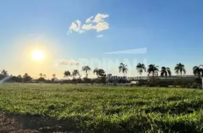 Terreno à venda na Avenida Conceição Vono Toledo Piza Fernandes, 420, Água Vermelha, São Carlos