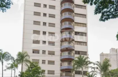 Apartamento cobertura à venda no cambuí com 320m2, campinas/sp
