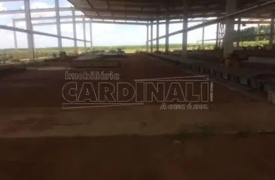 Barracão / Galpão / Depósito para alugar na Rua Olavio Apreia, Setor 7 ÁRea D (Rod. Washington Luiz Km 250 Ct Pre Moldados), Distrito Industrial, Ibaté
