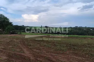 Fazenda à venda em Água Vermelha, São Carlos 