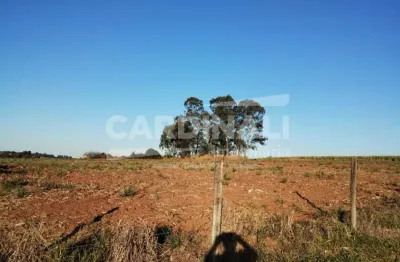 Fazenda à venda na Estrada Municipal Leoncio Zambel - Aparecida Da Babilonia, Gleba Az - Faz Santa Maria, S/N, Área Rural de São Carlos, São Carlos
