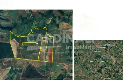 Fazenda à venda na Sp 215, Rodovia Luiz Augusto De Oliveira , Km 162, Fazenda, S/N, Área Rural de São Carlos, São Carlos