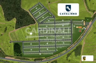 Terreno à venda na Rodovia Deputado Rogê Ferreira, Km 78, 1, Zona Rural, Analândia