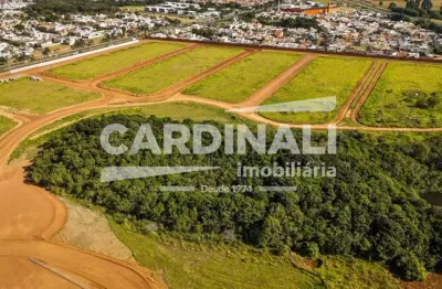 Terreno à venda na Rua Miguel Petroni, 4800, Parque Santa Felícia Jardim, São Carlos