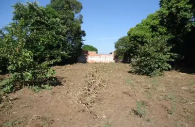 Terreno à venda na Avenida Sao Joao, , Lote 0, Quadra 0, 284, Centro, Ibaté
