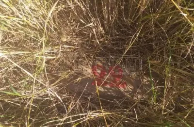 Terreno à venda na Rua João Gaban, 0, Jardim do Bosque, São Carlos