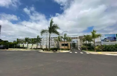 Apartamento com 2 quartos para alugar na Avenida João Stella, Bloco 12, 200, Parque Santa Felícia Jardim, São Carlos