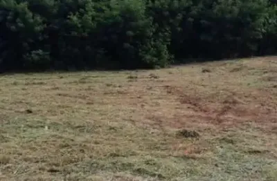 Terreno à venda na Avenida Professor José Clozel, Jardim Morumbi, Araraquara