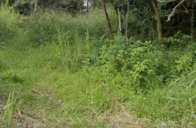 Terreno com 381m2 na rua aracua, pantanal, florianópolis/sc