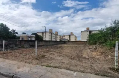 Terreno à venda na Rua Nelson Floriano Campos, 709, Pachecos, Palhoça