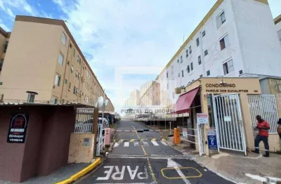 Apartamento com 3 dormitórios à venda, 50 m² por r$ 215.000,00 - vila padre manoel de nóbrega - campinas/sp