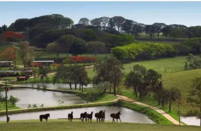 Chácara / sítio à venda na área rural de amparo, amparo , 2613600 m2 por r$ 75.000.000