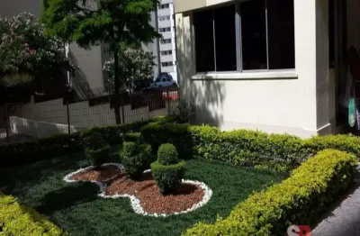 Apartamento com 2 quartos à venda na vila amélia, são paulo , 70 m2 por r$ 370.000
