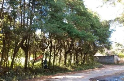 Terreno à venda no Mato Dentro, Mairiporã 