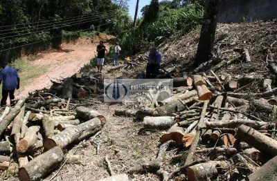Terreno à venda na Rua Dona Amélia de Beauhamais, 320, Roseira, Mairiporã