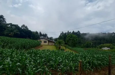 Chácara / sítio com 2 quartos à venda na Areia Branca dos Assis, Mandirituba 