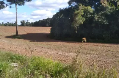 Chácara / sítio à venda na Estrada de Tietê, Tietê, Araucária