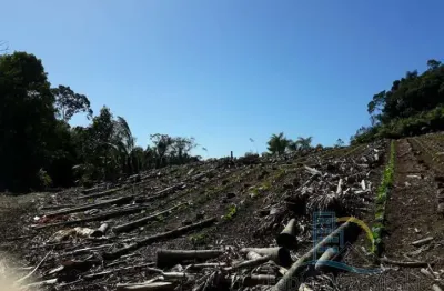 Terreno - em rua, para venda em são francisco do sul/sc