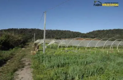 Terreno comercial à venda na Barra do Itapocú, Araquari 