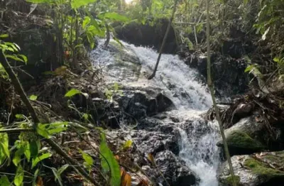 Chácara / sítio à venda no Centro (Rio Rosinha), Rio dos Cedros 