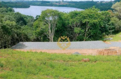 Oportunidade única!!! chácara com 1 dormitório à venda, 26000 m² por r$ 2.950.000 - butiatuva - campo largo/pr!
