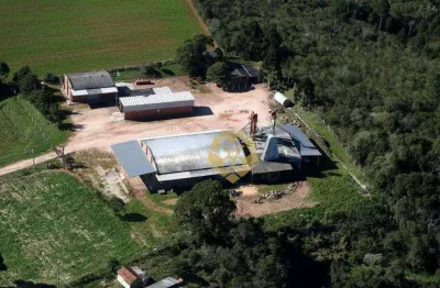 Barracão para alugar, 1700 m² por r$ 30.000,01/mês - zona rural - tijucas do sul/pr