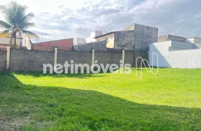 Terreno à venda na Avenida Lírio Correa, Parque Nova Carioba, Americana