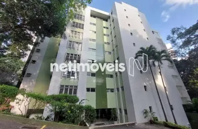 Apartamento com 4 quartos para alugar na Avenida Santa Luzia, 761, Horto Florestal, Salvador