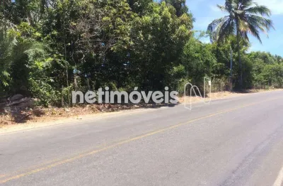 Terreno à venda na Avenida Do Farol, 2, Praia do Forte, Mata de São João