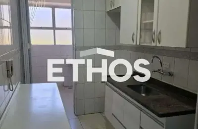 Oportunidade unica! apartamento de 2 dormitorios no residencial anchieta r$ 360.000,00