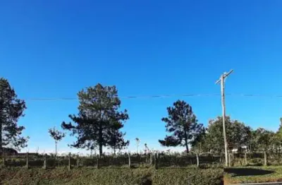 Vendo area frente para raposo tavares itapetininga sp