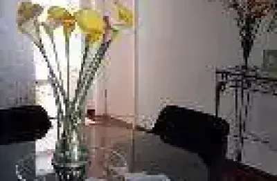 Casa com 3 quartos à venda no Centro, Itapetininga 