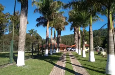 Chácara / sítio com 6 quartos à venda na Areia Branca, Guareí 
