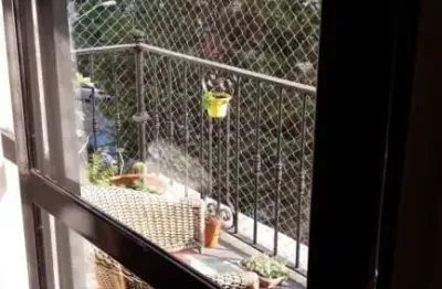 Apartamento com 3 quartos à venda na rua harmonia, 756, sumarezinho, são paulo por r$ 1.380.015