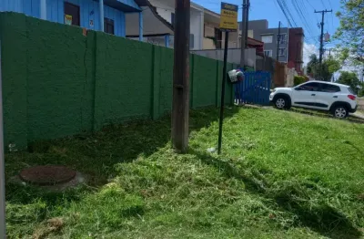 Casa com 3 quartos para alugar na Rua Loanda, São Cristóvão, São José dos Pinhais