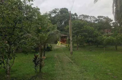 Chácara com 2 dormitórios à venda, 2400 m² por r$ 265.000,00 - jardim são fernando - itanhaém/sp