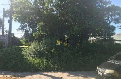 Terreno à venda, 336 m² por r$ 90.000,00 - jardim das palmeiras - itanhaém/sp