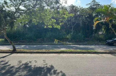 Terreno à venda, 380 m² por r$ 195.000 - balneário califórnia - itanhaém/sp