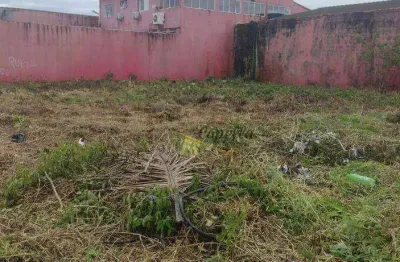 Terreno à venda, 367 m² por r$ 250.000,00 - jardim regina - área verde - itanhaém/sp