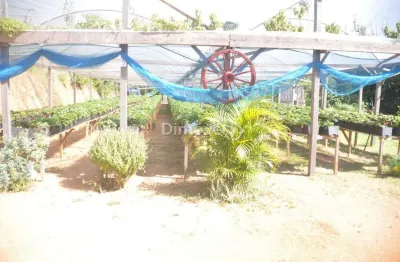 Chácara / sítio com 3 quartos à venda na estrada joão passuelo, 1150, vila nova, porto alegre por r$ 1.400.000