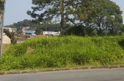 Terreno no anita garibaldi com 0 quartos para venda, 390 m²