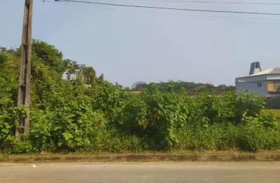 Terreno no anita garibaldi com 0 quartos para venda, 390 m²