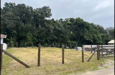 Terreno à venda na Avenida Nereu Ramos, Centro, Penha