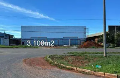 Quadra 20 - galpão com 3100 m2 pé direito 6mts com doca terreno 4.200 m2 novo, muito bem localizado com 3.100m2, 2 docas, ótima localização no setor industrial de ceilândia, na quadra 20,
