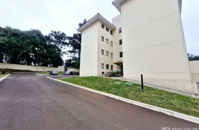Apartamento para locação de 02 dormitórios no bairro iguaçu em fazenda rio grande pr