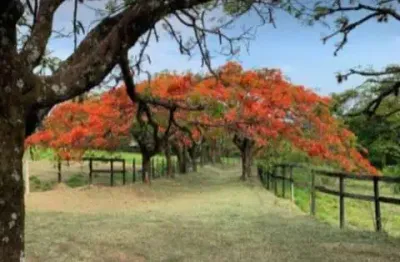 Lançamento mais esperado do ano acaba de chegar - condomínio fechado villa sapezal - indaiatuba