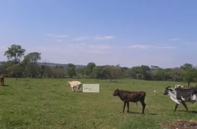 Chácara / sítio com 3 quartos à venda em Água Vermelha, São Carlos 