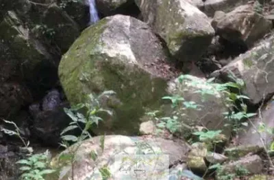 Chácara / sítio à venda no Centro, Cambuí 